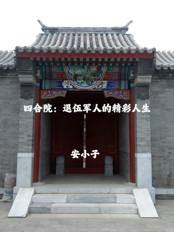 四合院:退伍军人的精彩人生TXT