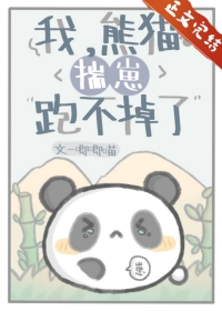 我熊猫不服小说免费阅读